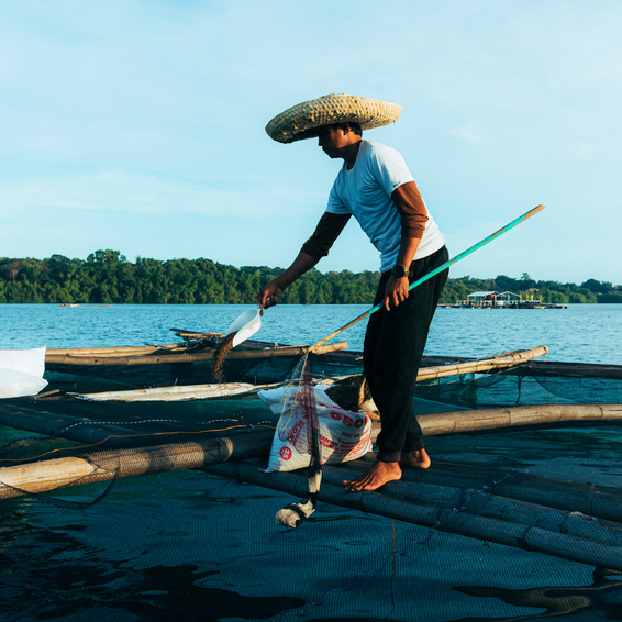 Fisherman Preparing Bait for Fishing